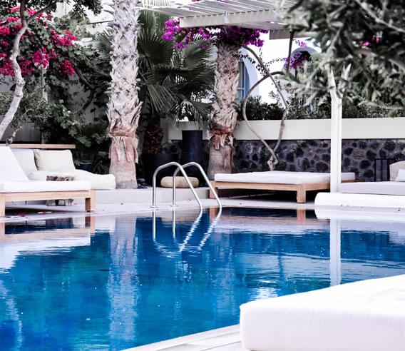 Discover New Horizons